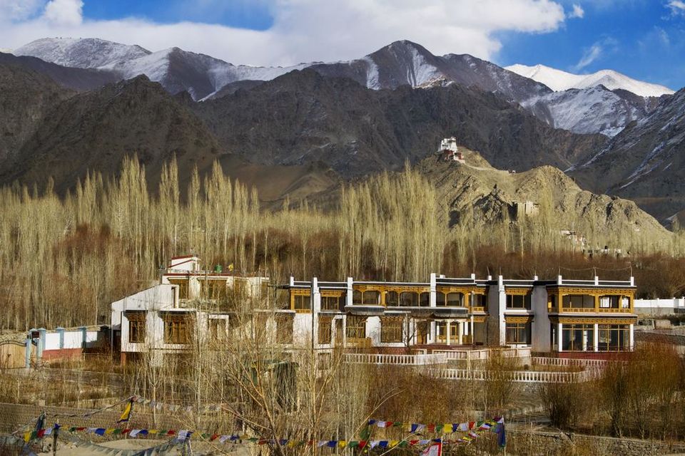 Photo of 13 Best Hotels in Ladakh to Suit Every Budget 34/39 by Sreshti Verma
