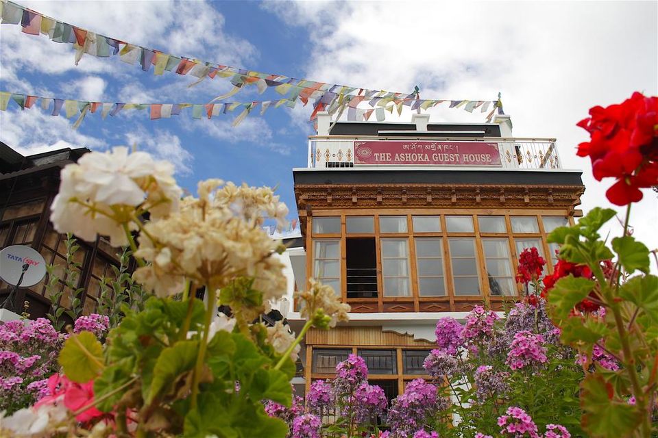Photo of 13 Best Hotels in Ladakh to Suit Every Budget 16/39 by Sreshti Verma