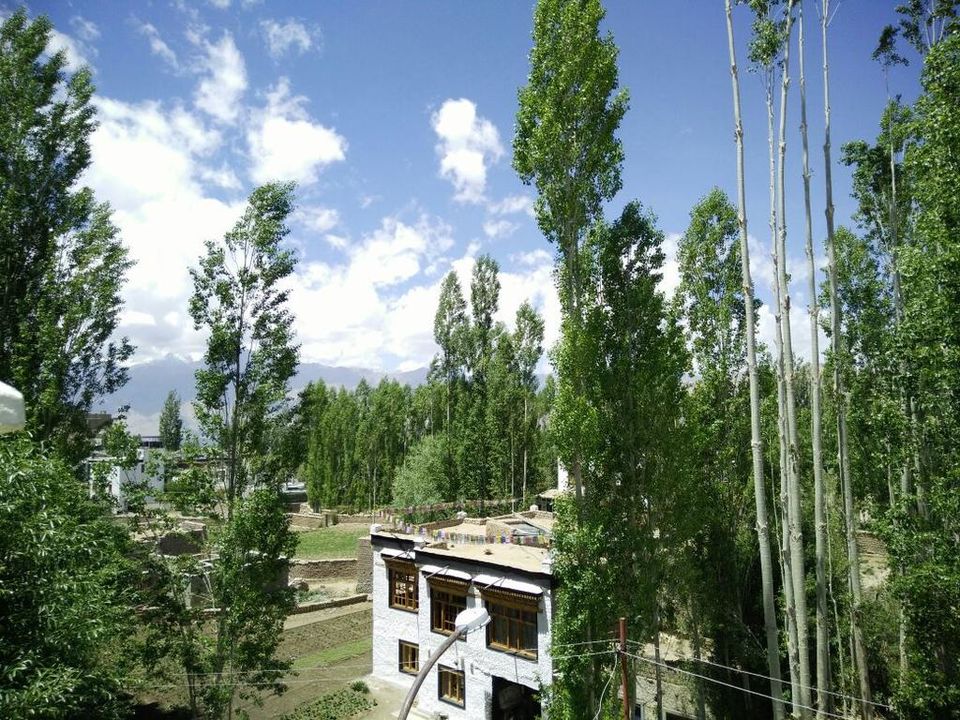 Photo of 13 Best Hotels in Ladakh to Suit Every Budget 25/39 by Sreshti Verma